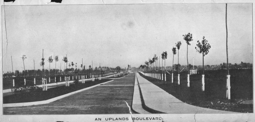 Historic view of an Uplands boulevard